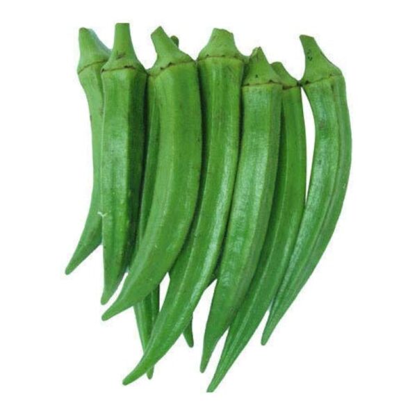 Lady Finger