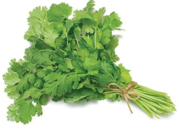 Coriander leaves 10 Gram