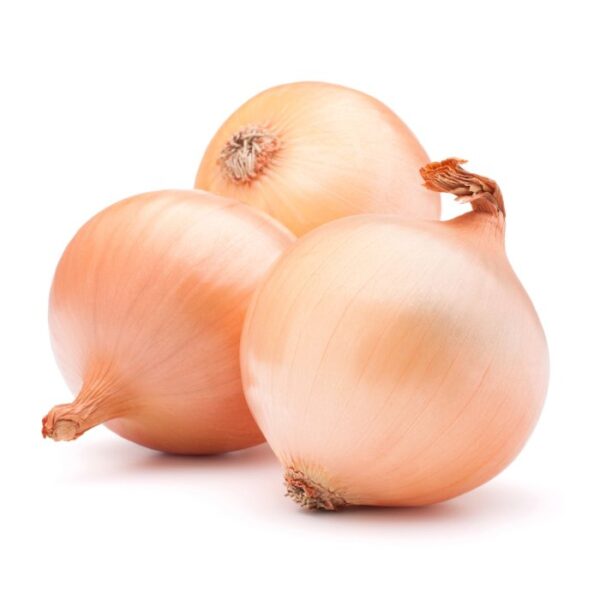 Onion